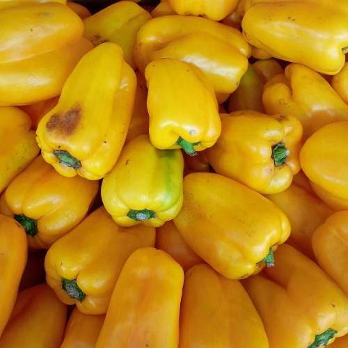 Yellow Capsicum