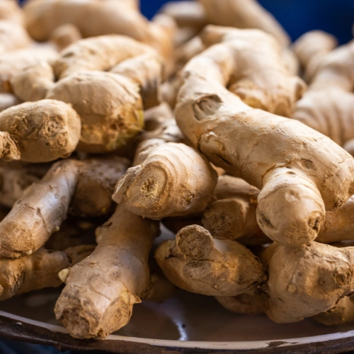 Ginger