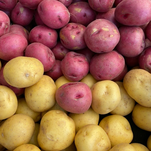 Potato