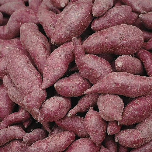 Sweet Potato